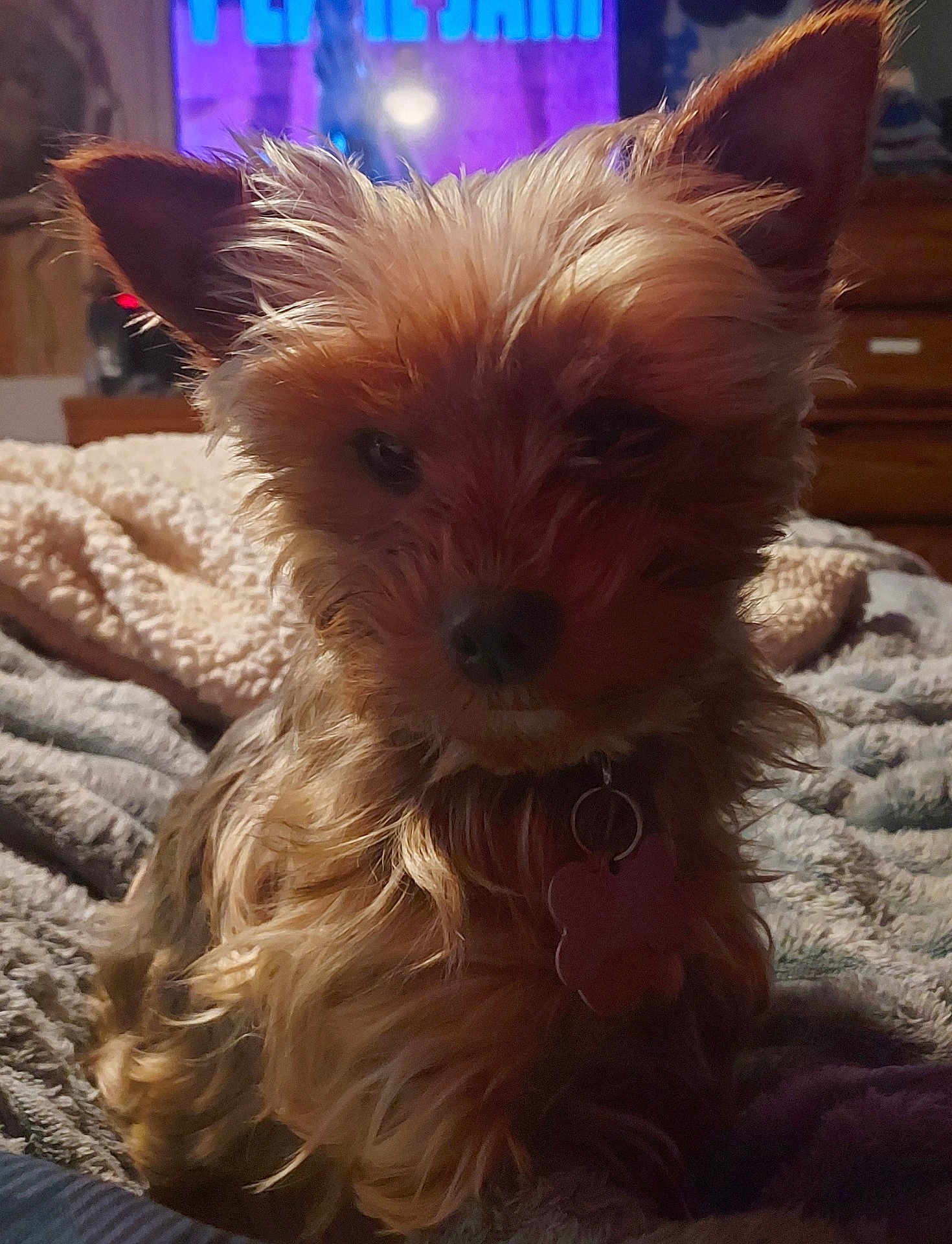 Crazymazy