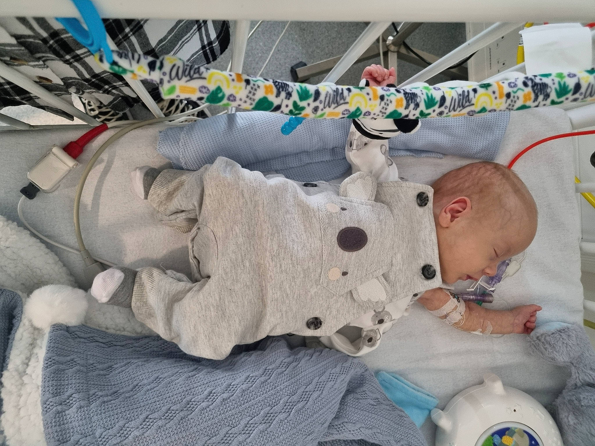 Vinnie joined the competition — help win amazing prizes! baby, baby_products, baby_safety, baby_sleeping, baby_toddler_clothing, baby_toys, bed, bedding, bedtime, blanket, child, comfort, infant_bed, linens, nap, person, room, sleep, textile, toddler