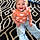 Everleigh