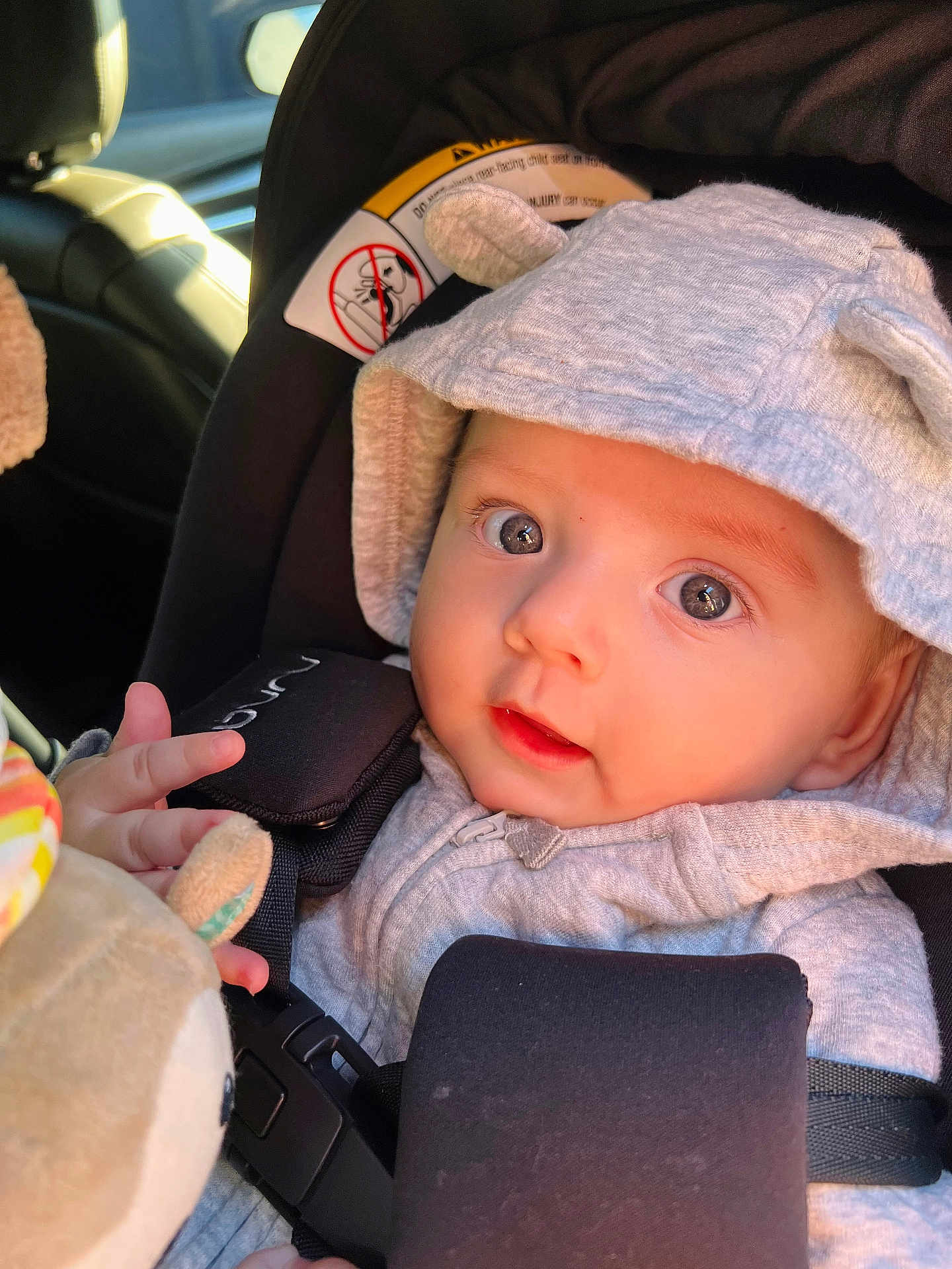 Aaron is registered to the contest to win money with this photo: baby, infant, car_seat, hoodie, gray_clothing, soft_toy, child, closeup, face, eyes, seatbelt, car_interior, cute, adorable, warm_light, portrait, childhood, safety, candid, young