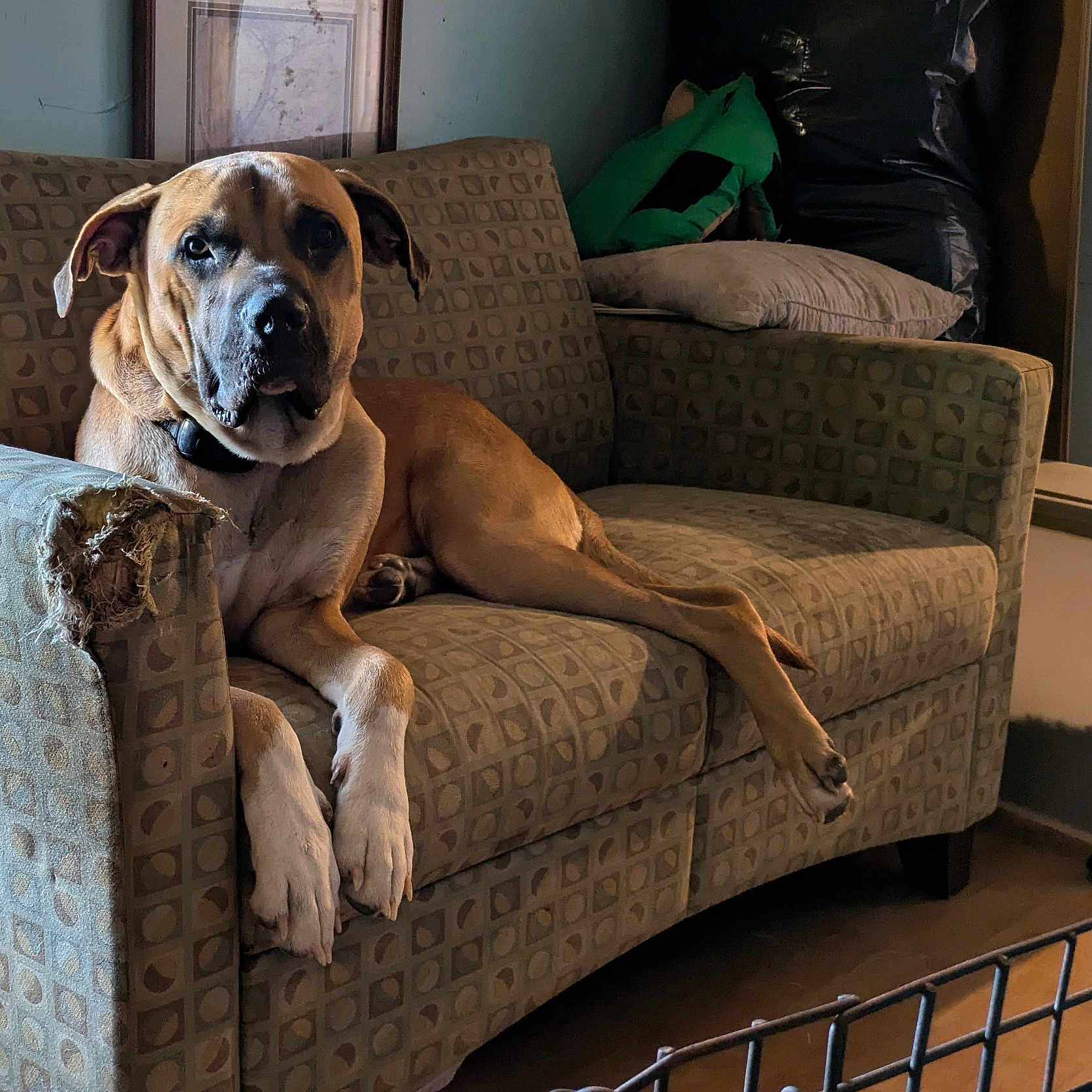 Duke