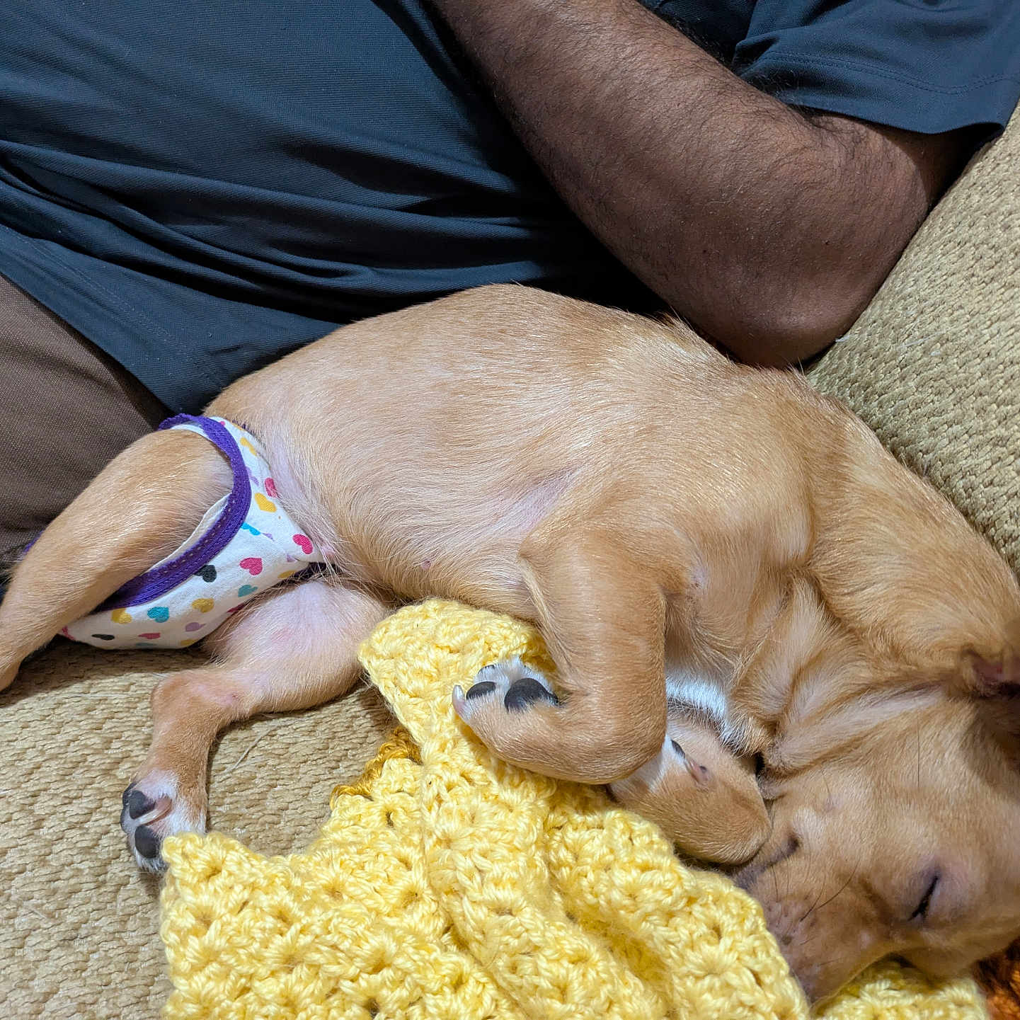 Bella