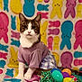 Luna joined the competition — help win amazing prizes! animal, bunny_pattern, cat, checkered_skirt, colorful_background, costume, cute, decor, easter, easter_eggs, feline, festive, holiday, indoor, nest, pet, playful, portrait, purple_shirt, spring