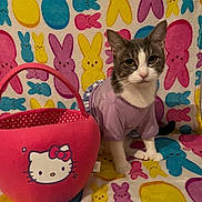 Luna joined the competition — help win amazing prizes! animal, bunny_pattern, cat, colorful_blanket, cozy, cute, decor, domestic_cat, feline, hello_kitty, indoor, patterned_background, pet, pink_basket, playful, portrait, purple_clothing, sitting, soft_texture, toy