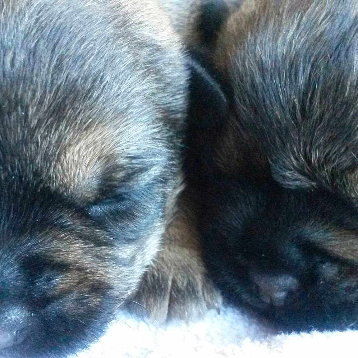 Lilly And Millie is registered to the contest to win money with this photo: