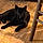 Salem