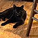 Salem