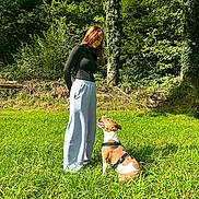 Taïka participe au concours pour gagner de l'argent avec cette photo : person, dog, grass, trees, forest, harness, sunlight, outdoor, nature, standing, sitting, looking_up, panting, casual_clothing, sweatpants, long_sleeve, brown_and_white_coat, green_field, collar, peaceful