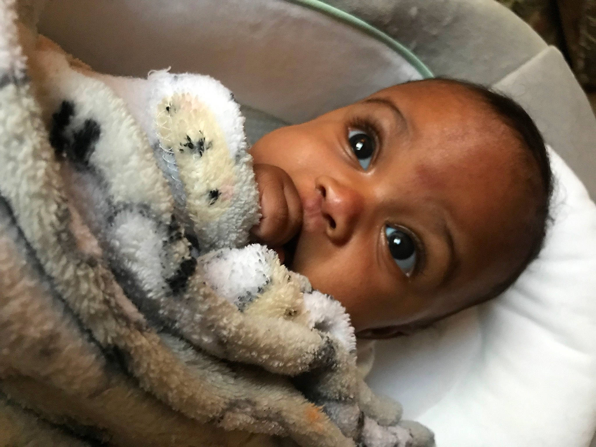 Egypt is registered to the contest to win money with this photo: bear, carnivore, child, eyelash, fur, fur_clothing, gesture, happy, jaw, mammal, nose, person, polar_bear, skin, smile, snout, stuffed_toy, toddler, toy, vertebrate