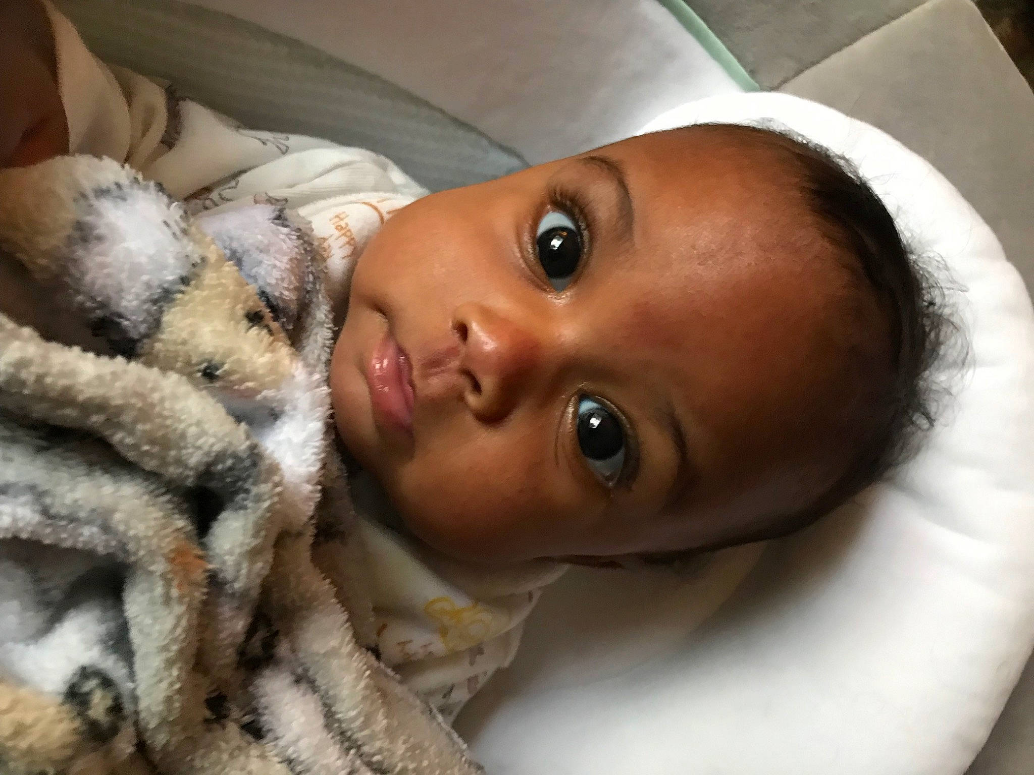 Egypt joined the competition — help win amazing prizes! baby, cheek, child, close_up, comfort, ear, eyebrow, eyelash, forehead, fur, fur_clothing, happy, headgear, human, iris, lip, mouth, nose, person, skin