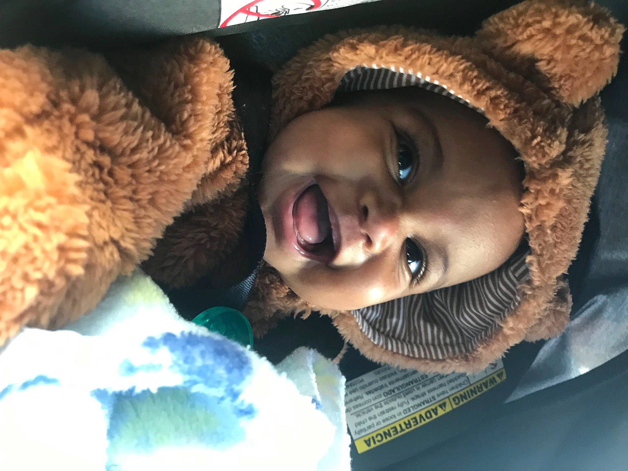 Egypt is registered to the contest to win money with this photo: cap, eyebrow, fun, happy, head, headgear, headwear, iris, jaw, mammal, mouth, nose, person, skin, smile, snout, stuffed_toy, toddler, tree, vertebrate