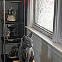 cat, gray_cat, indoor, stool, window, frosted_glass, metal_shelf, figurines, mickey_mouse, minnie_mouse, decor, collar, tag, curious, pet, animal, furniture, light, shadow, cozy
