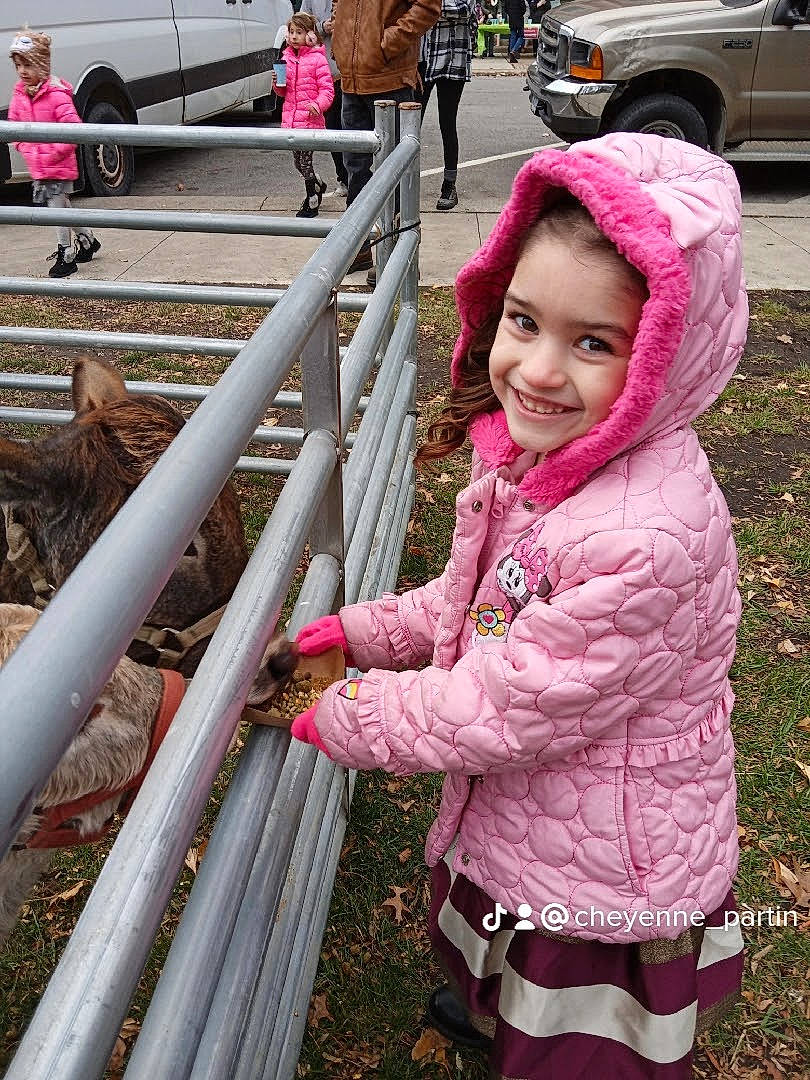 Avalynn is registered to the contest to win money with this photo: car, family_car, fence, fun, grass, handrail, happy, human_body, jacket, joy, leisure, magenta, person, pink, plant, recreation, smile, toddler, travel, wheel