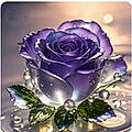 Deborah F.