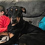 dog, black_dog, tan_markings, couch, indoor, pet, canine, portrait, relaxed, seated, animal, companion, furniture, living_room, people, casual, brown_eyes, ears, fur, domestic_animal