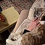 cat, fluffy_cat, sleeping, hand, lap, person, rug, table, cozy, indoor, furniture, relaxation, pet, domestic, comfort, patterned_rug, wooden_table, paws, resting, soft