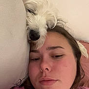 Léa participe au concours pour gagner de l'argent avec cette photo : person, dog, face, portrait, indoor, couch, pillow, relaxing, casual, pink_shirt, white_dog, closeup, snuggling, cozy, resting, fur, expression, bedroom, home, comfort