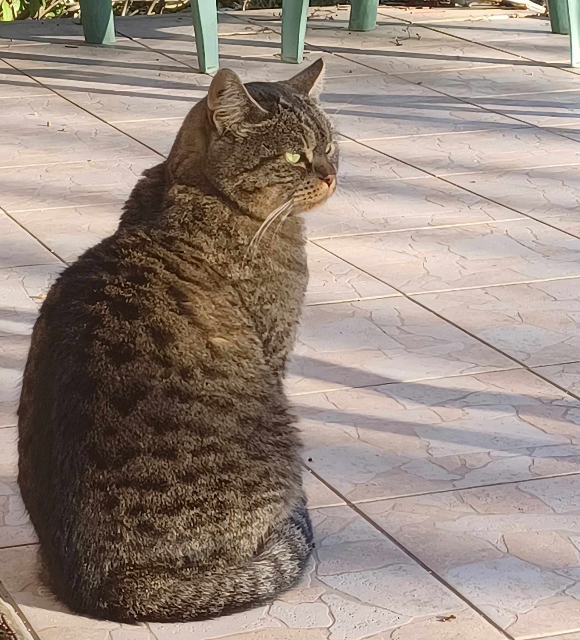Pepere