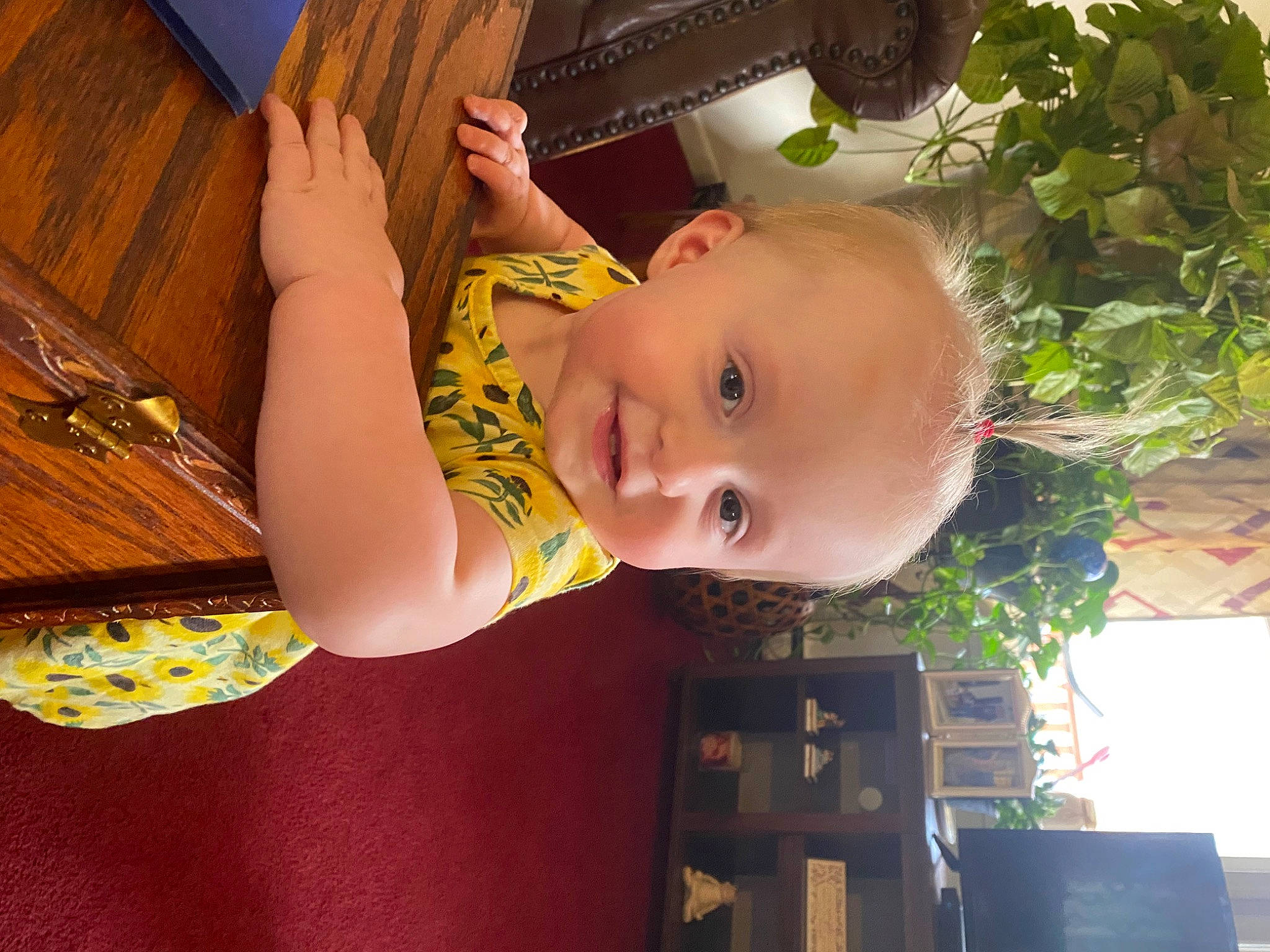 Lorelei is registered to the contest to win money with this photo: baby, baby_toddler_clothing, cheek, child, flowerpot, fun, grass, happy, houseplant, leisure, nose, person, plant, room, smile, standing, toddler, tree, vacation, window