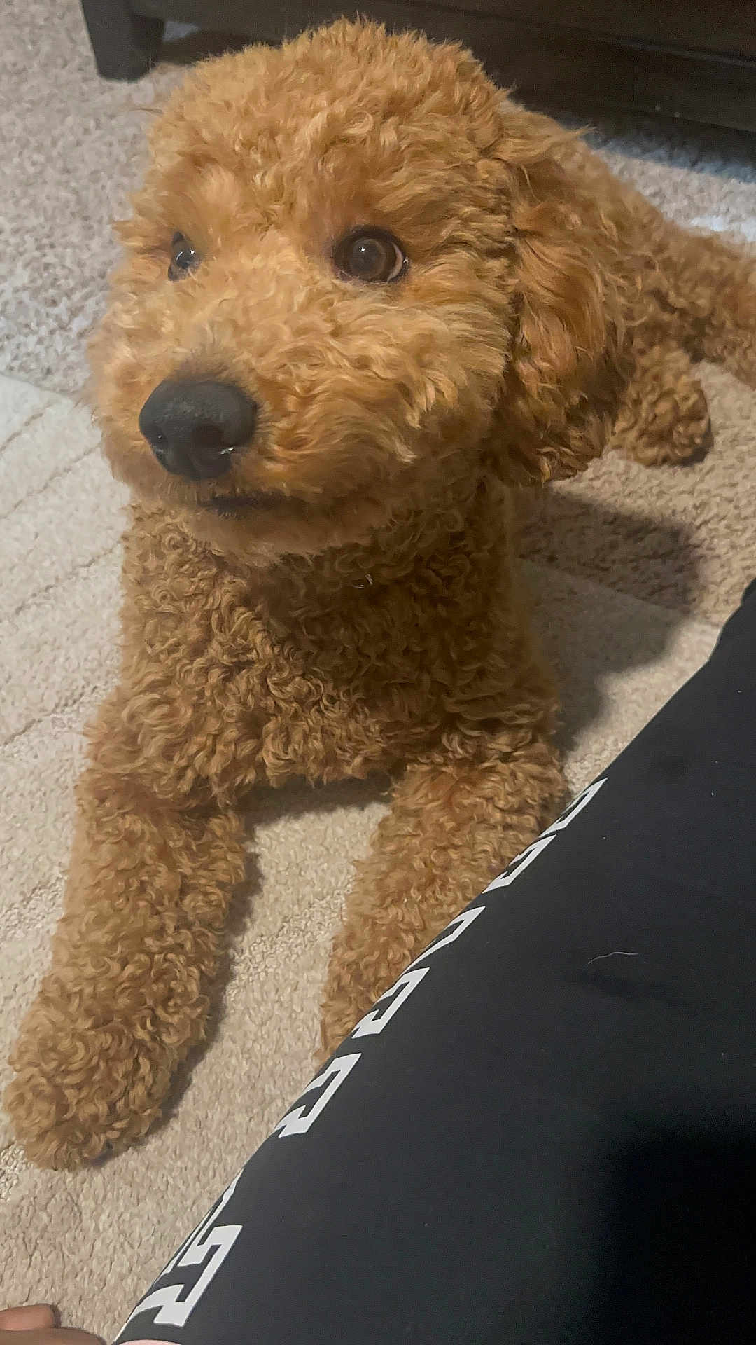 Romeo