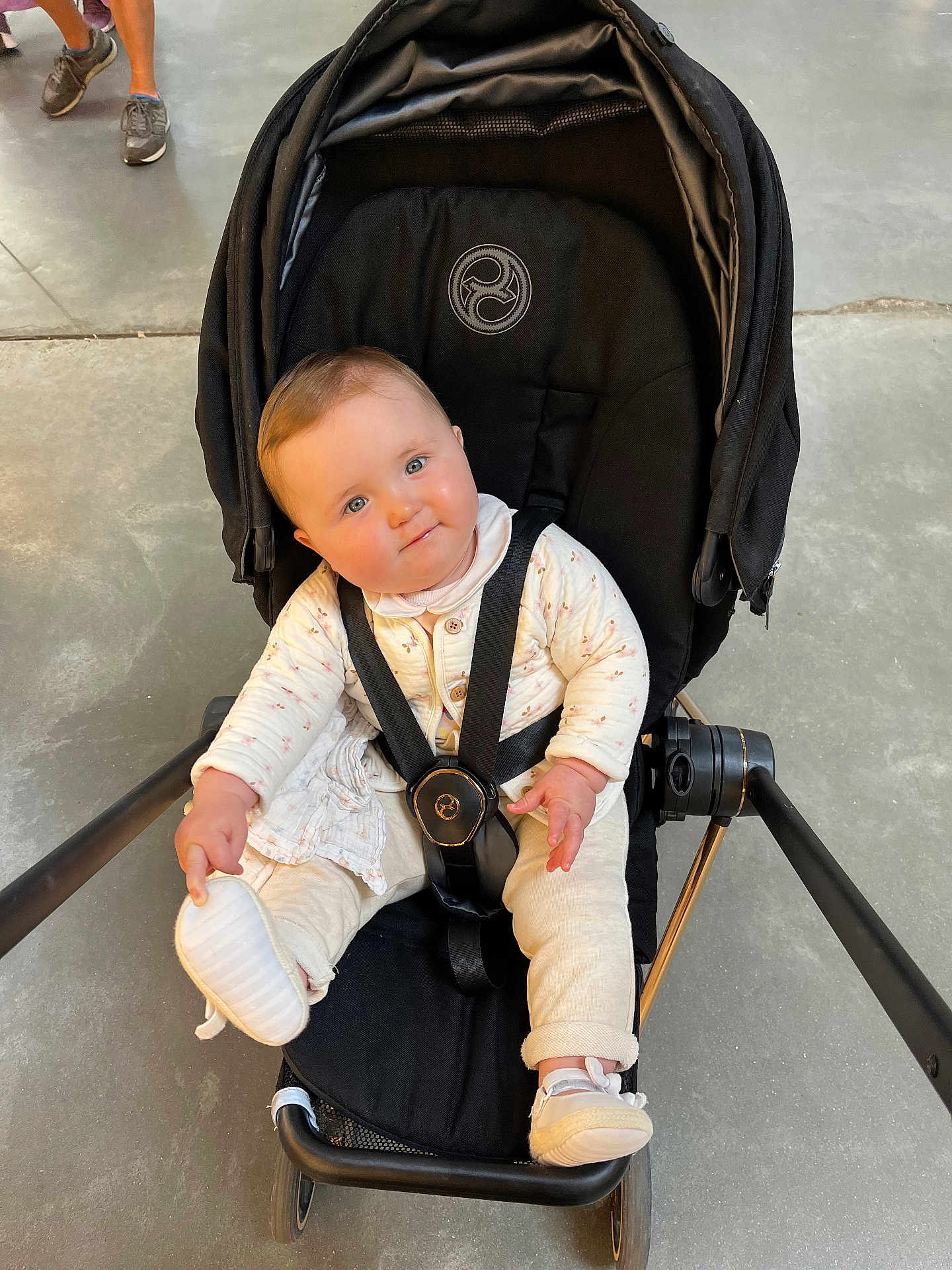 Alba a rejoint le concours — aidez-le/la à gagner de superbes lots ! baby, stroller, infant, child, cute, seatbelt, footwear, sneakers, indoor, person, clothing, curious, floor, legs, black, white, casual, expression, hands, head