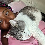 Zoey joined the competition — help win amazing prizes! bed, blanket, cat, close_up, cozy, ear, eye, fur, head, home_interior, indoor, nose, person, pet, pillow, pink_blanket, portrait, relaxation, sleeping_cat, snuggling