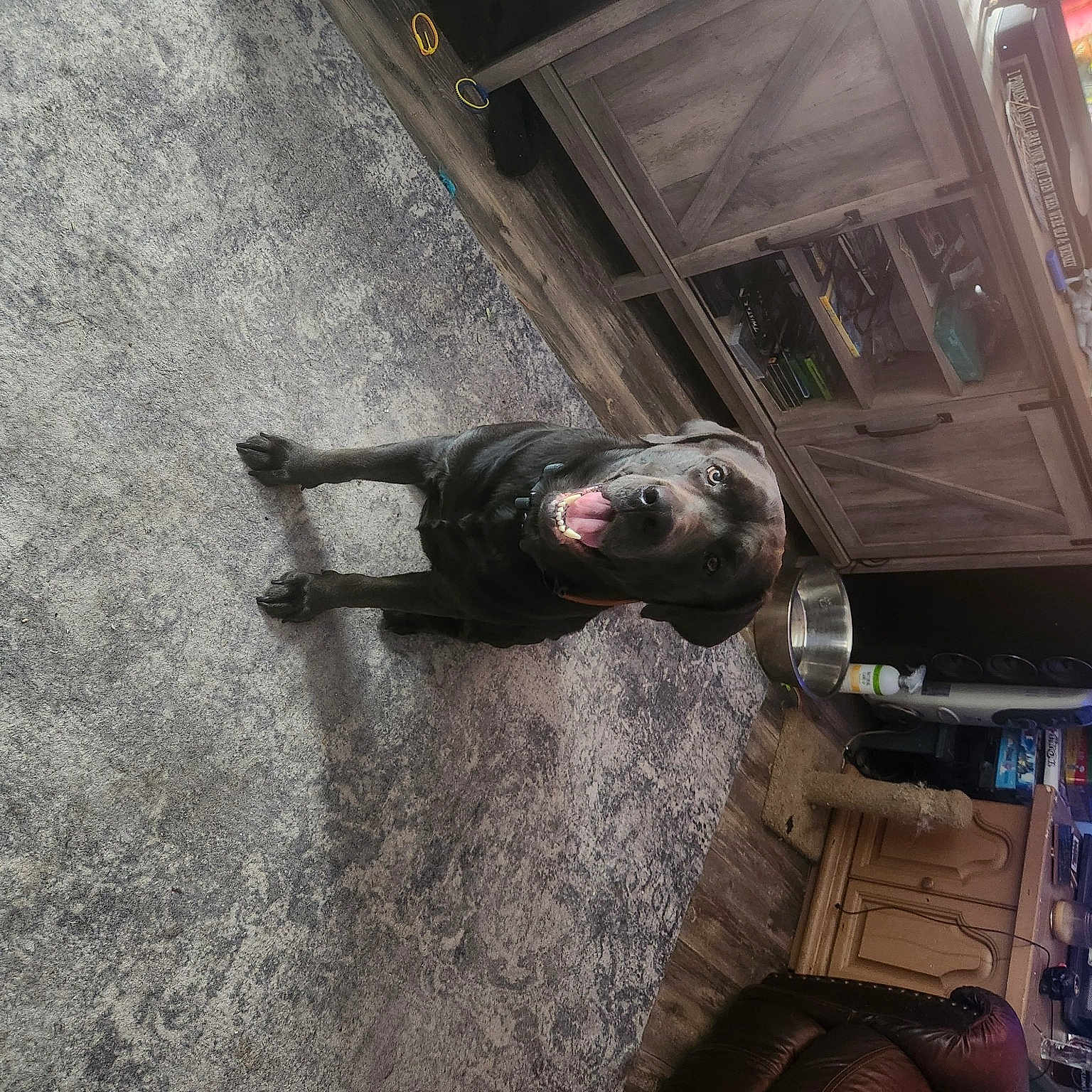 Oliver