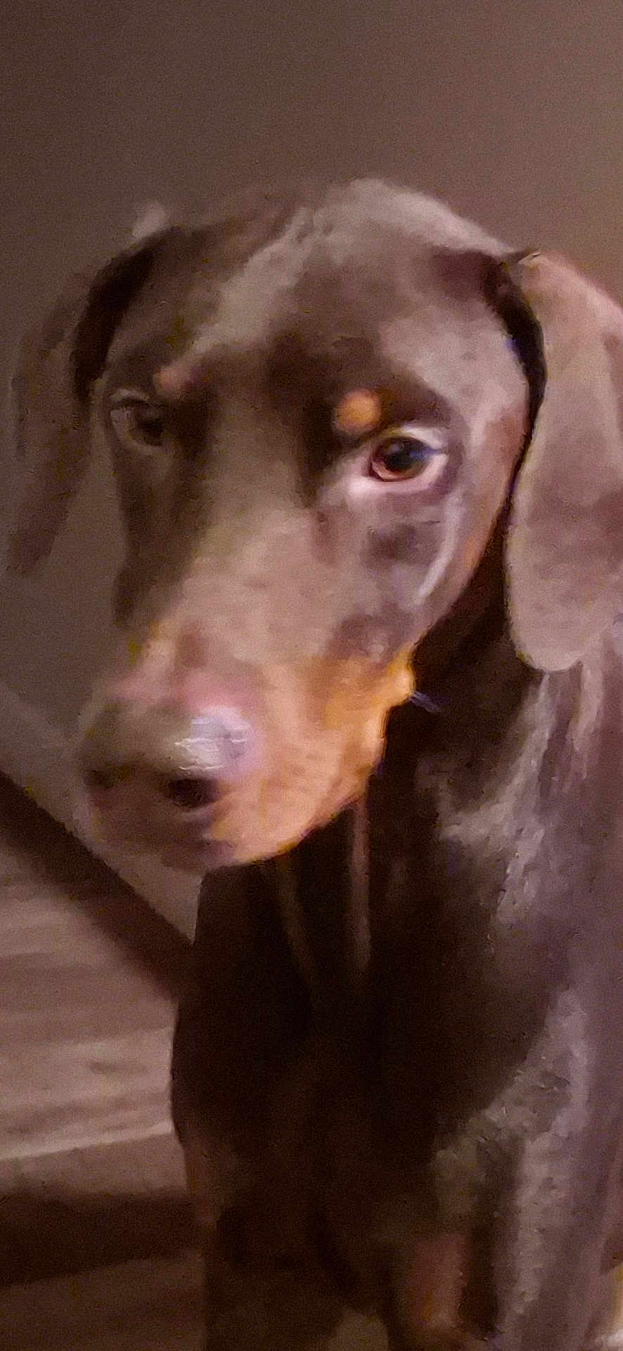 Coco