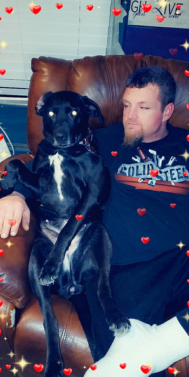 Priss is registered to the contest to win money with this photo: borador, canidae, carnivore, companion_dog, dog, dog_breed, event, fawn, formal_wear, fur, guard_dog, hunting_dog, non_sporting_group, puppy_love, sporting_group, t_shirt, toy_dog, working_animal, working_dog