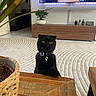 cat, black_cat, pet, animal, sitting, indoors, living_room, wooden_table, wood_furniture, carpet, patterned_rug, houseplant, succulent, basket, collar, pet_tag, golden_eyes, portrait, cozy_home, television