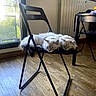 Vivi a rejoint le concours — aidez-le/la à gagner de superbes lots ! cat, cats, indoor, chair, folding_chair, wooden_floor, window, sunlight, relaxed, sleeping, furniture, pet, animal, cozy, domestic, two_cats, fluffy, resting, black_chair, home