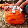 baby, newborn, pumpkin, pumpkin_patch, sleeping, autumn, outdoors, grass, hay, orange, person, hands, clothing, headwear, cute, resting, nature, seasonal, child, fall