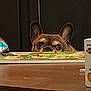 dog, french_bulldog, table, board_game, ears, brown_dog, indoor, curious, peeking, pet, animal, playing, wooden_table, game_pieces, closeup, eyes, ears_up, looking, household, waiting
