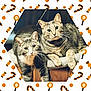 cat, tabby_cat, two_cats, pets, feline, cozy, indoor, animal, cute, whiskers, perch, close_up, looking_at_camera, fur, ears, eyes, resting, holiday_theme, halloween, decorative_border
