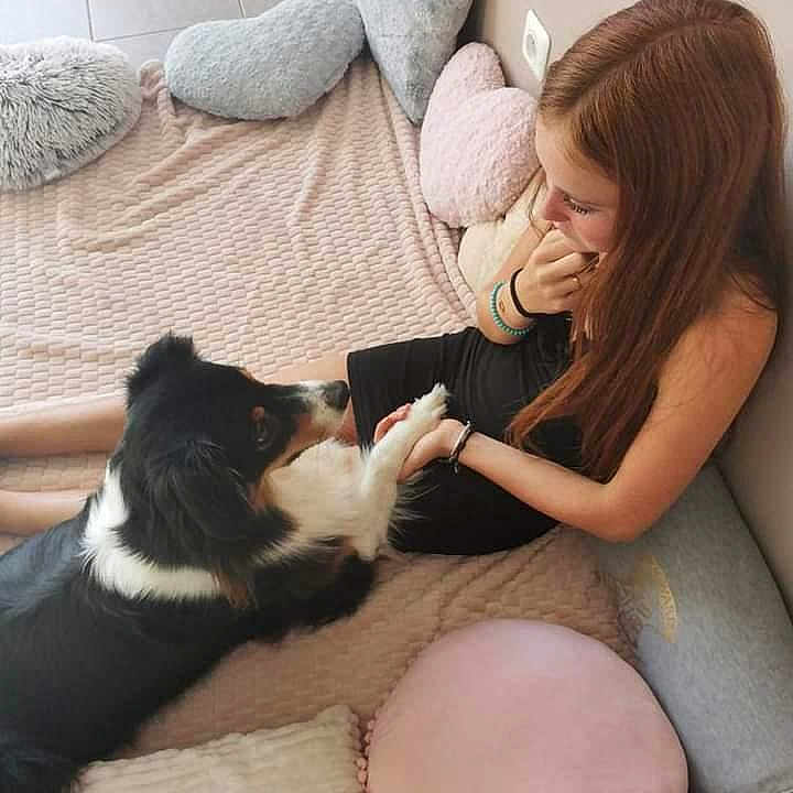 Noly a rejoint le concours — aidez-le/la à gagner de superbes lots ! animal, canine, clothing, couch, cushion, dog, face, female, furniture, girl, head, homedecor, hosiery, person, pet, pillow, puppy, sitting, sock, teen