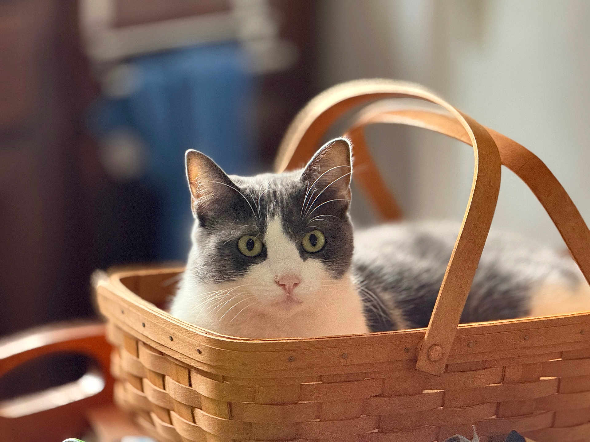 Max