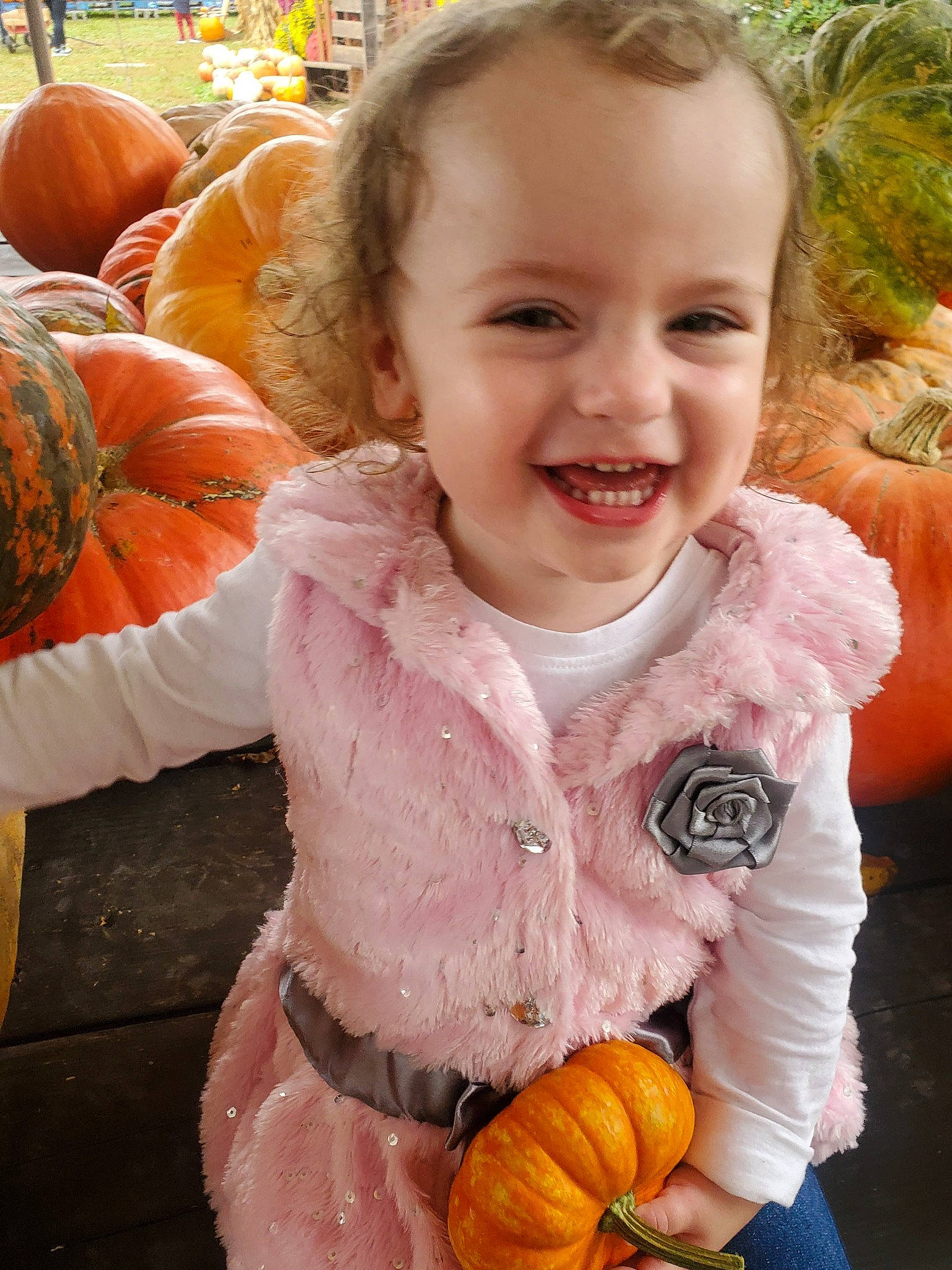 Ellie is registered to the contest to win money with this photo: baby, calabaza, cheek, child, face, fur, joy, orange, outerwear, peach, person, pink, plant, pumpkin, sitting, skin, smile, stuffed_toy, toddler, wool
