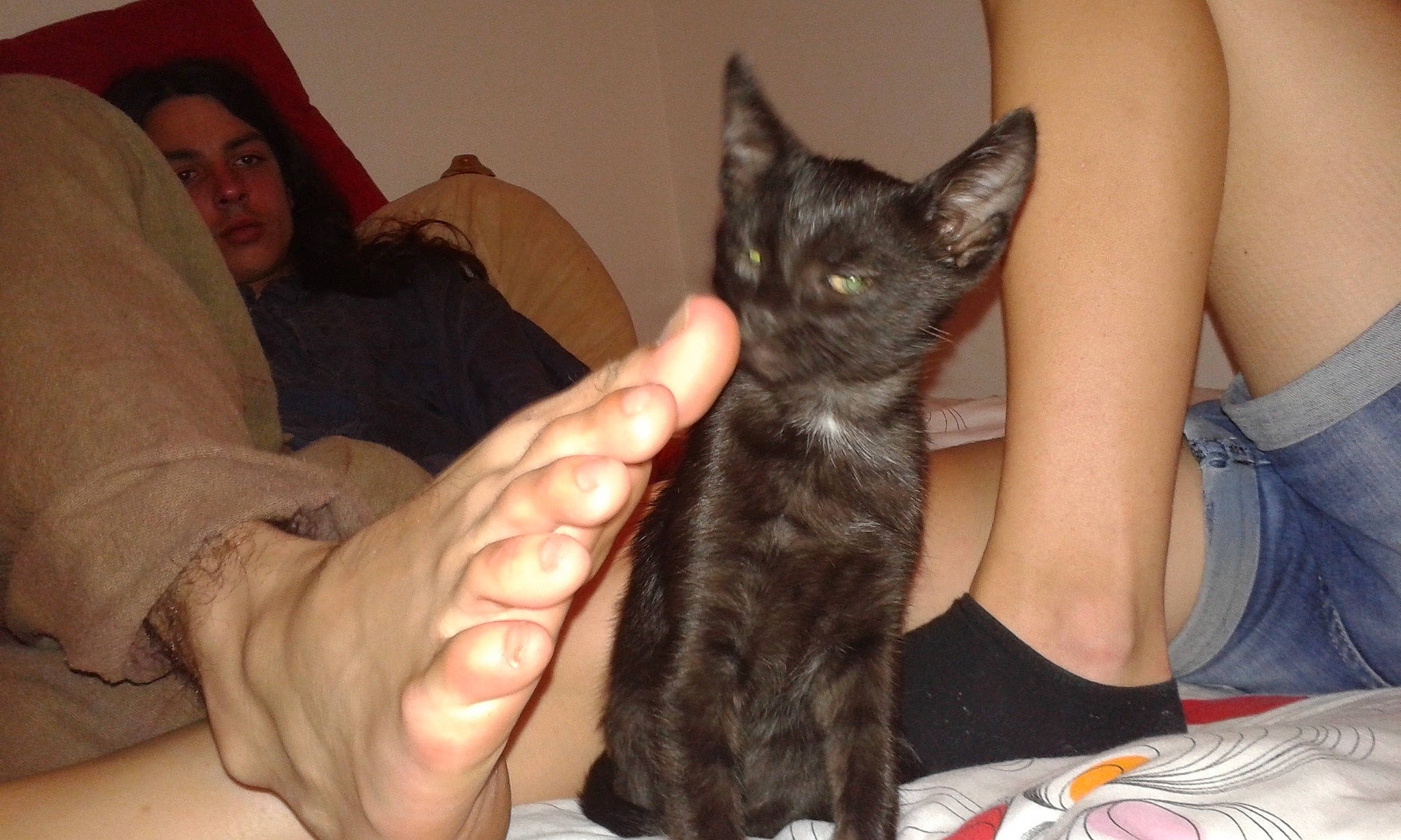 Lox a rejoint le concours — aidez-le/la à gagner de superbes lots ! black_cat, carnivore, cat, claw, comfort, domestic_short_haired_cat, ear, felidae, finger, fur, gesture, hand, hat, lap, nail, sitting, small_to_medium_sized_cats, thumb, whiskers