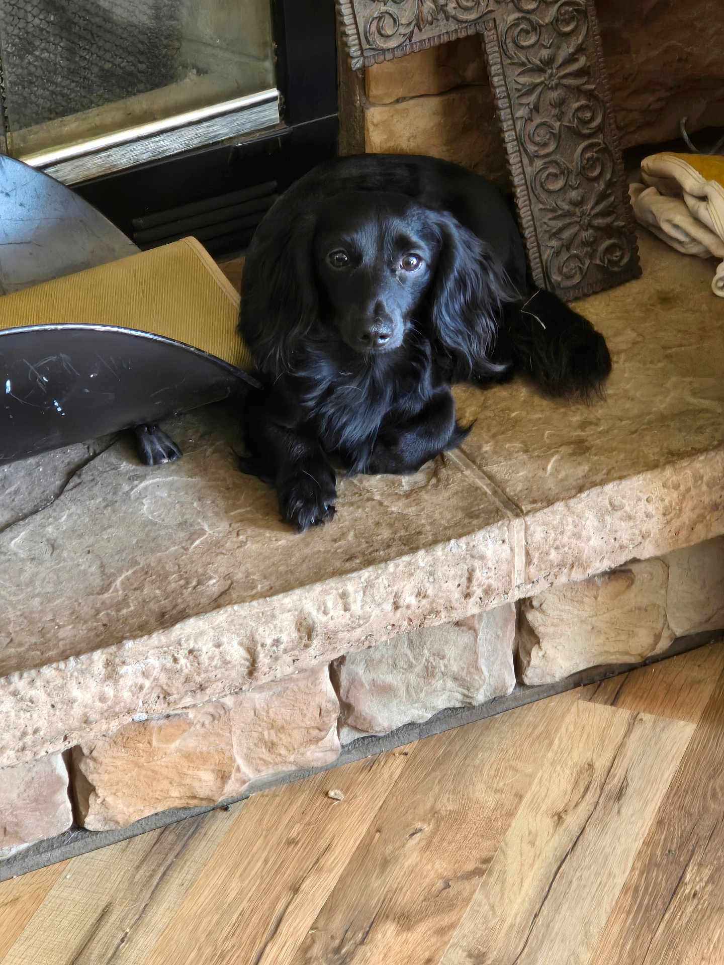 Taz