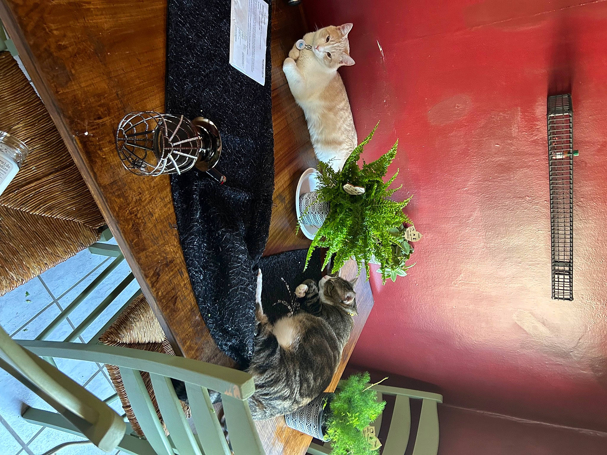 Hercules is registered to the contest to win money with this photo: art, cut_flowers, fashion_accessory, feather, floral_design, flower_arranging, font, linens, metal, pattern, plant, rectangle, room, still_life, still_life_photography, tints_and_shades, twig, visual_arts, window, wood