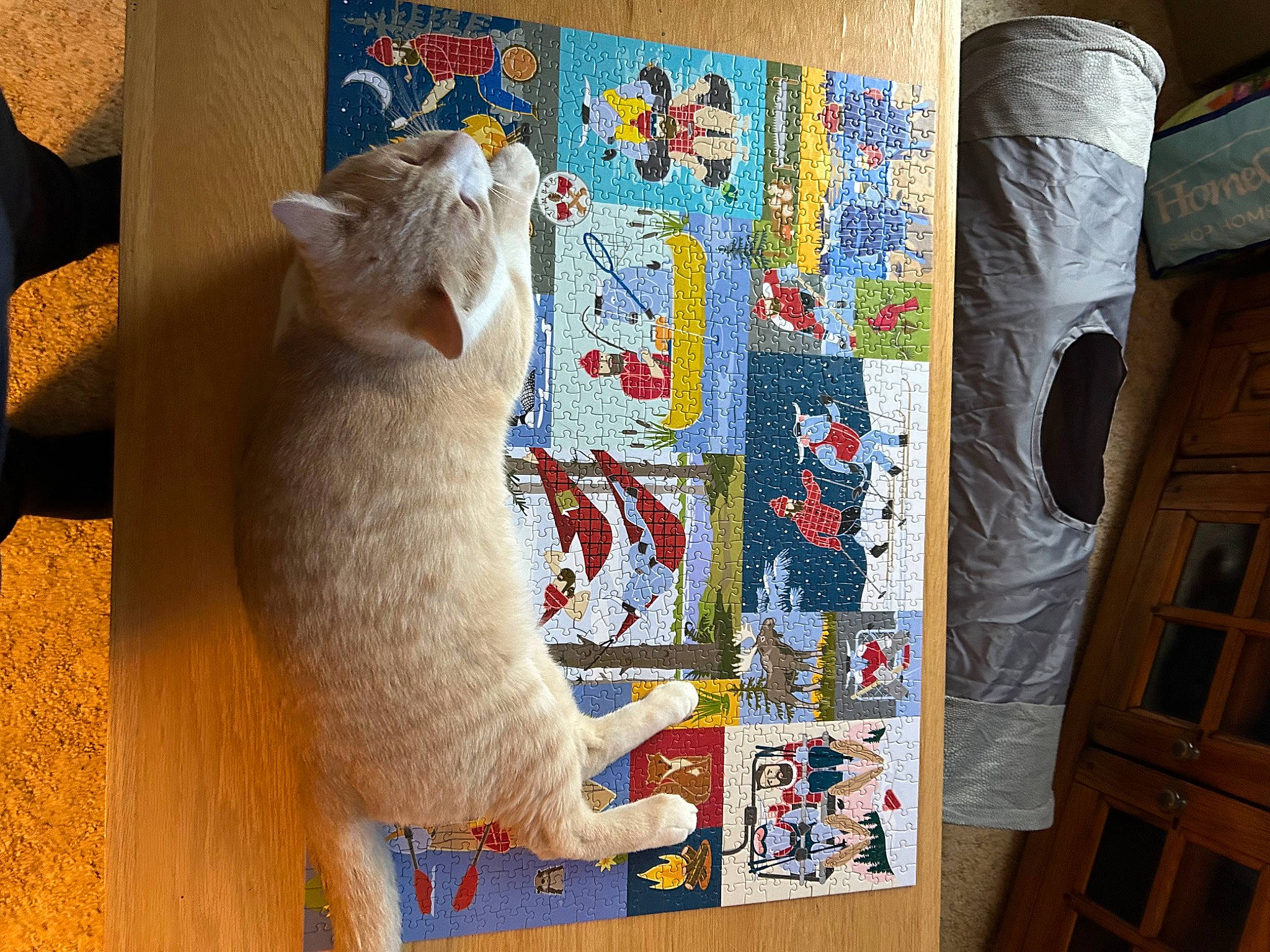 Hercules is registered to the contest to win money with this photo: art, carnivore, cat, chair, comfort, creative_arts, domestic_short_haired_cat, fawn, felidae, flooring, fur, linens, pattern, small_to_medium_sized_cats, tail, textile, visual_arts, whiskers, window, wood