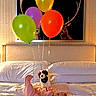 baby, bed, balloons, pink_pajamas, plush_dog, toy, pillow, blanket, painting, deer, antlers, indoor, cozy, child, infant, smiling, colorful, soft_lighting, relaxing, home