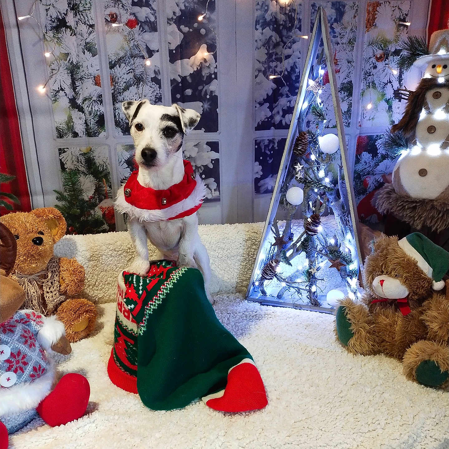 Only You a rejoint le concours — aidez-le/la à gagner de superbes lots ! accessories, animal, canine, christmas, christmasdecorations, christmastree, clothing, dog, face, festival, head, hosiery, nature, outdoors, person, pet, plant, snow, teddybear, toy