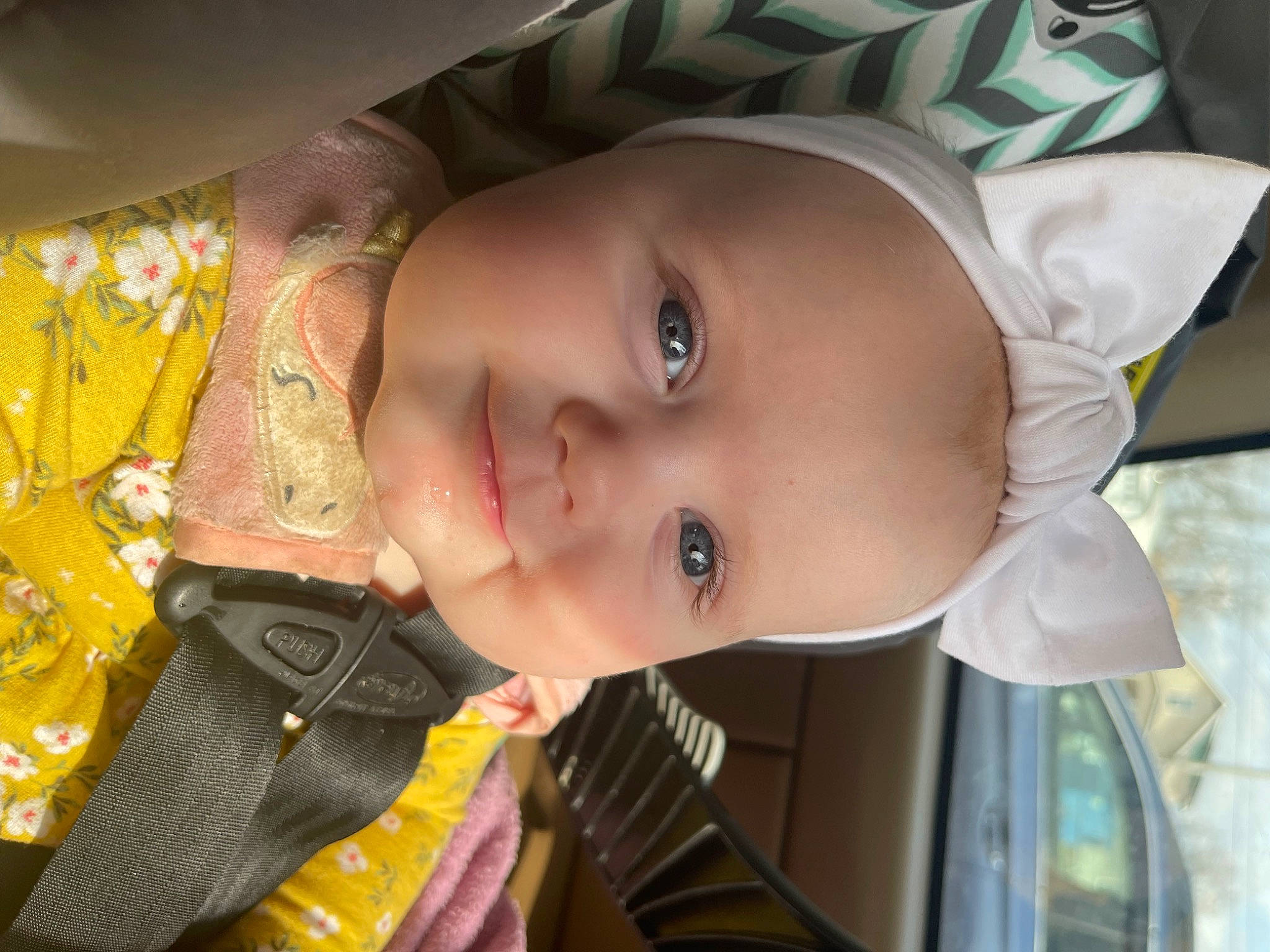 Violet joined the competition — help win amazing prizes! baby, baby_products, baby_toddler_clothing, cheek, child, dress, eyelash, fun, happy, hat, human_body, iris, lip, mouth, nose, person, plant, skin, smile, toddler