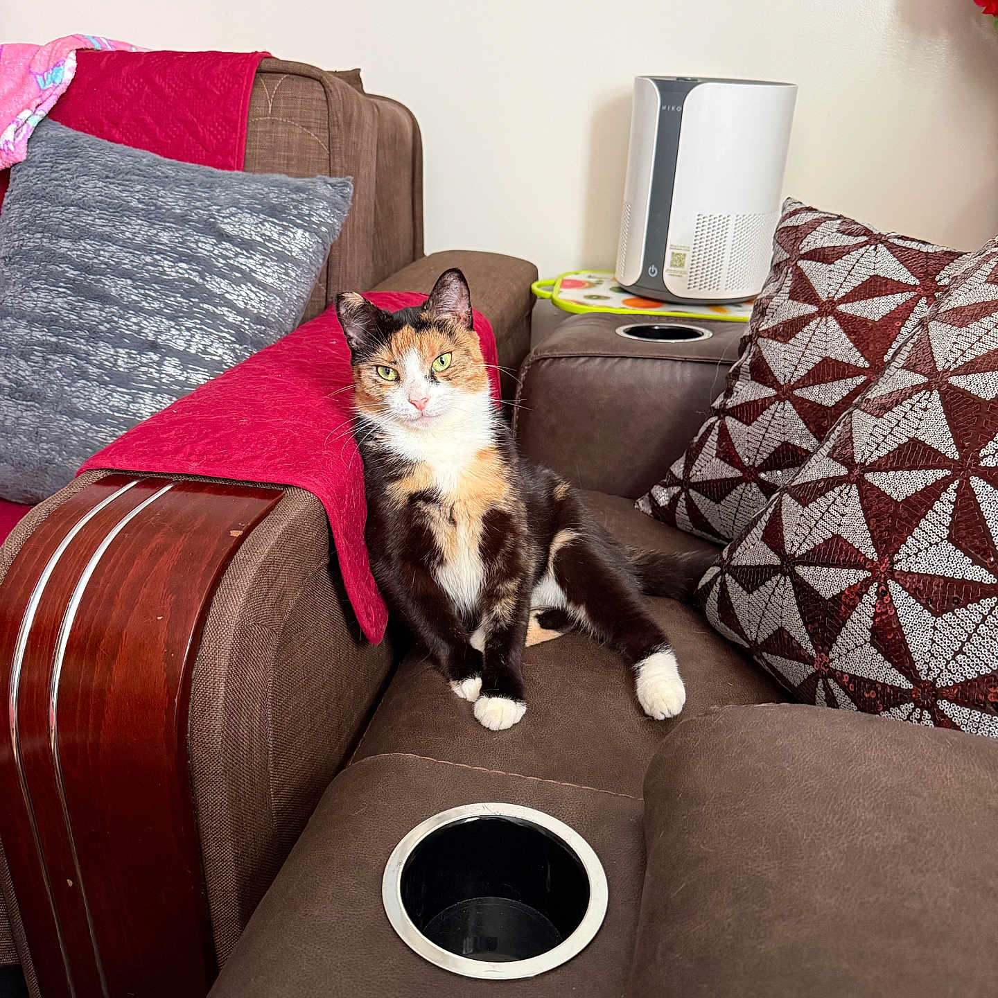 Luna is registered to the contest to win money with this photo: cat, calico_cat, sofa, cushion, pillow, furniture, indoor, relaxed, pet, animal, domestic, brown_sofa, red_throw, patterned_pillow, curious, seated, living_room, cozy, household, looking