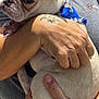 animal, blue_harness, casual_clothing, closeup, cute, daylight, dog, face, french_bulldog, hand, happy, holding, outdoor, person, pet, portrait, skin, small_dog, smile, tattoo