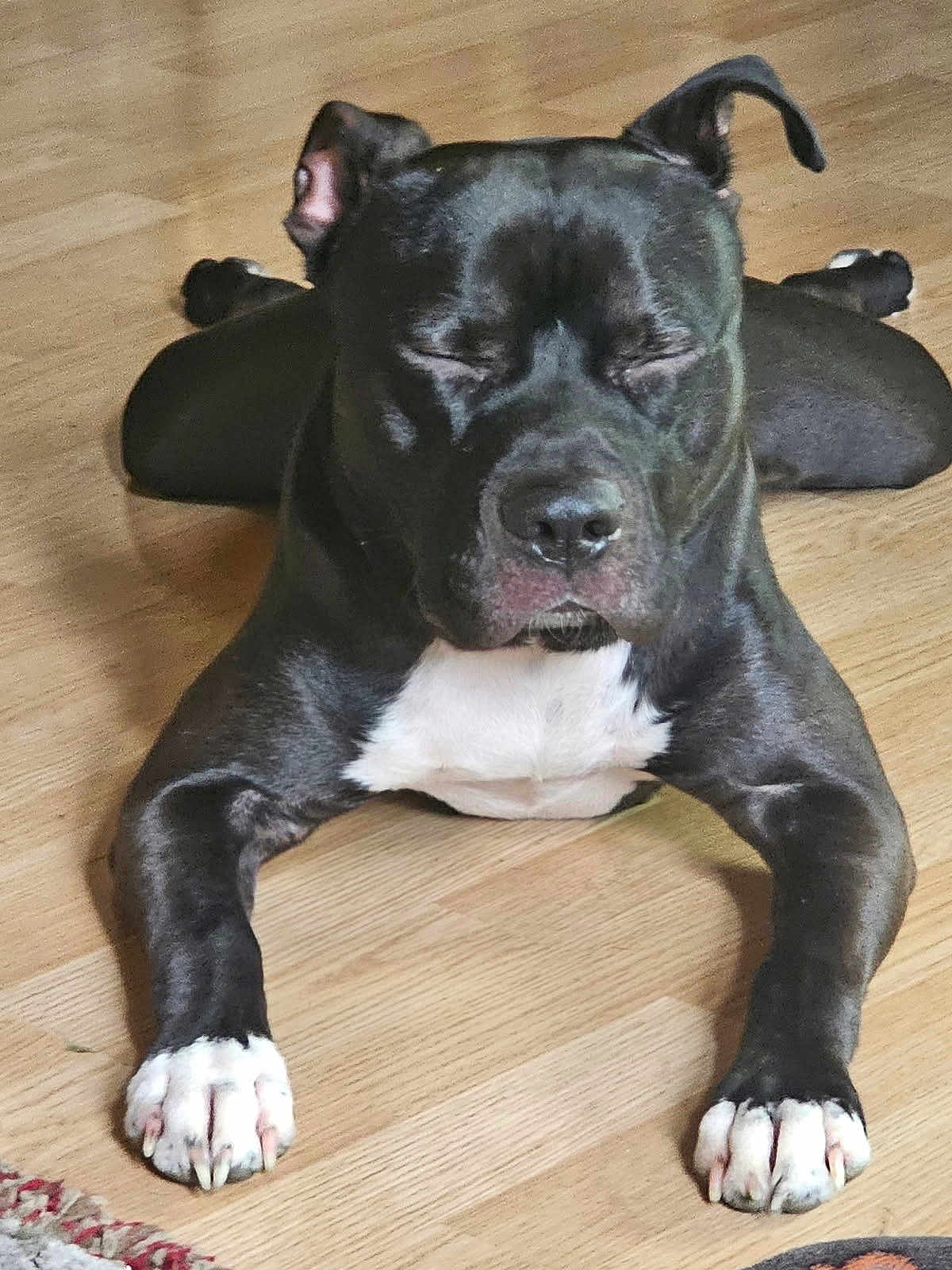Remi