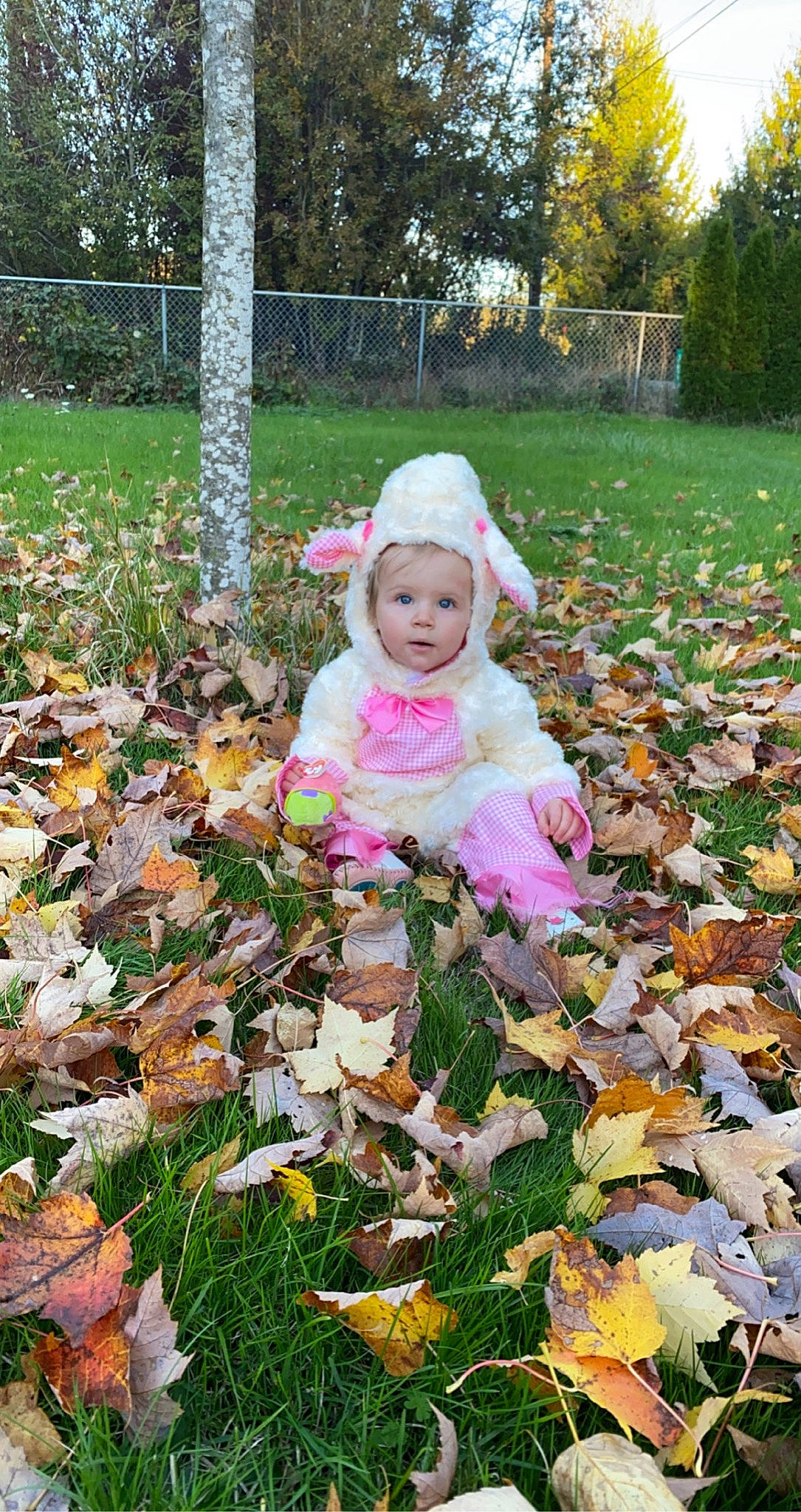 Ellowyn joined the competition — help win amazing prizes! autumn, child, deciduous, flower, grass, groundcover, headwear, leaf, person, plant, surprise, toddler, tree