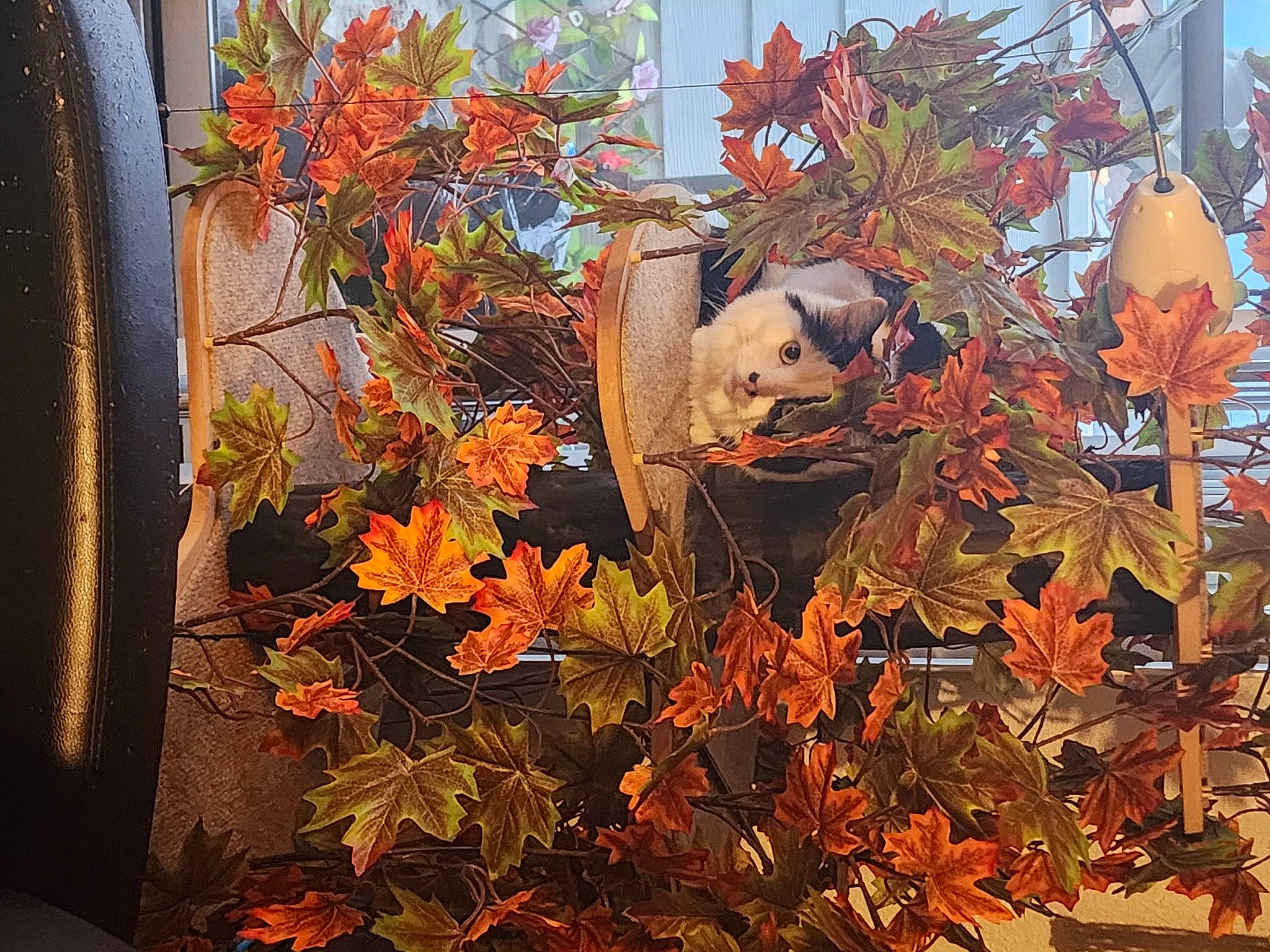 Oreo joined the competition — help win amazing prizes! art, branch, carmine, creative_arts, deciduous, flowering_plant, landscape, orange, paint, plant, still_life_photography, temperate_broadleaf_and_mixed_forest, tints_and_shades, tree, trunk, twig, vegetation, visual_arts, window, wood