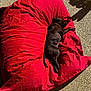animal, beanbag, brindle, comfort, daylight, dog, fur, grass, leisure, nature, outdoor, patio, pet, red, relaxing, resting, shadow, sleeping, summer, sunlight